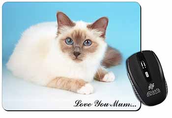 Birman Cat 