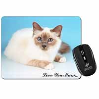 Birman Cat 