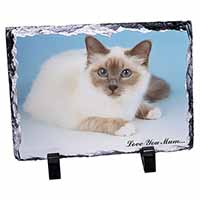 Birman Cat 