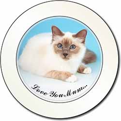 Birman Cat 