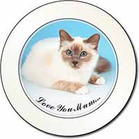 Birman Cat 