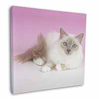 Lilac Birman Cat Square Canvas 12"x12" Wall Art Picture Print