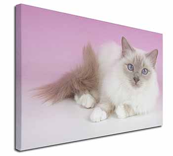 Lilac Birman Cat Canvas X-Large 30"x20" Wall Art Print