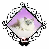 Lilac Birman Cat Wrought Iron Wall Art Candle Holder