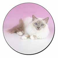 Lilac Birman Cat Fridge Magnet Printed Full Colour