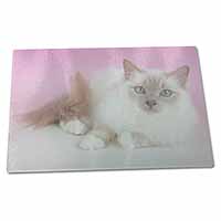 Large Glass Cutting Chopping Board Lilac Birman Cat