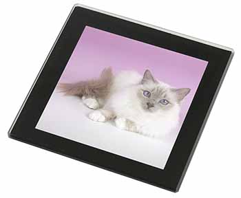 Lilac Birman Cat Black Rim High Quality Glass Coaster