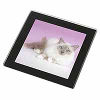 Lilac Birman Cat Black Rim High Quality Glass Coaster