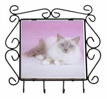 Lilac Birman Cat Wrought Iron Key Holder Hooks