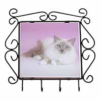 Lilac Birman Cat Wrought Iron Key Holder Hooks