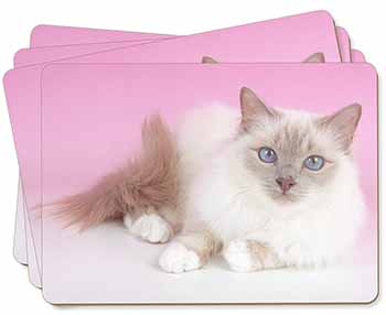 Lilac Birman Cat Picture Placemats in Gift Box