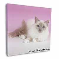 Lilac Birman Cat 