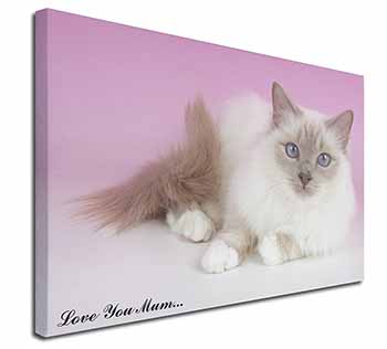 Lilac Birman Cat 