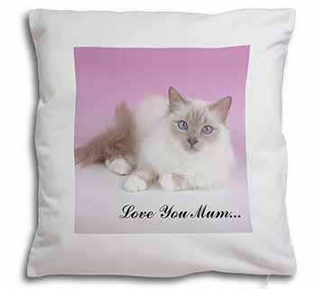 Lilac Birman Cat 