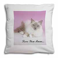 Lilac Birman Cat 