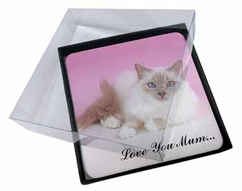 4x Lilac Birman Cat 