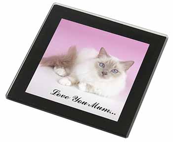 Lilac Birman Cat 