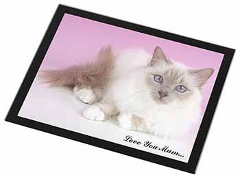 Lilac Birman Cat 