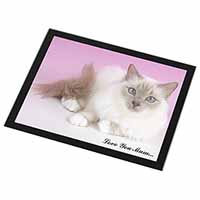 Lilac Birman Cat 