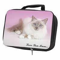 Lilac Birman Cat 