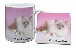 Lilac Birman Cat 