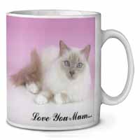 Lilac Birman Cat 