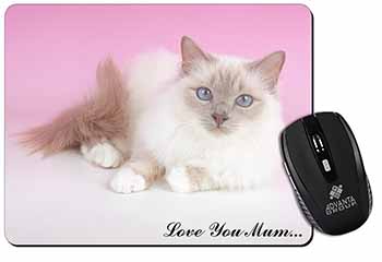 Lilac Birman Cat 