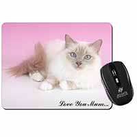 Lilac Birman Cat 