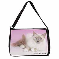 Lilac Birman Cat 