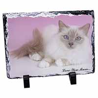 Lilac Birman Cat 