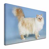 Red Birman Cat Canvas X-Large 30"x20" Wall Art Print