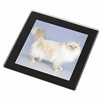 Red Birman Cat Black Rim High Quality Glass Coaster