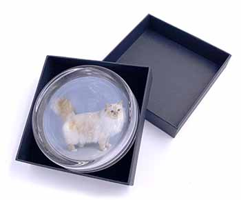 Red Birman Cat Glass Paperweight in Gift Box