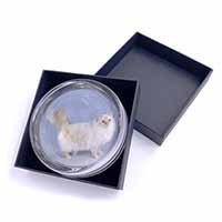 Red Birman Cat Glass Paperweight in Gift Box