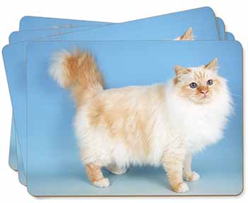 Red Birman Cat Picture Placemats in Gift Box