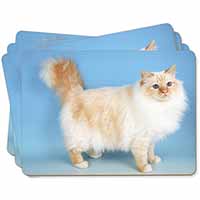 Red Birman Cat Picture Placemats in Gift Box