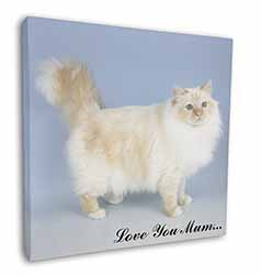 Red Birman Cat 