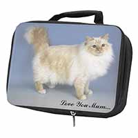 Red Birman Cat 