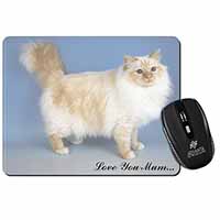 Red Birman Cat 