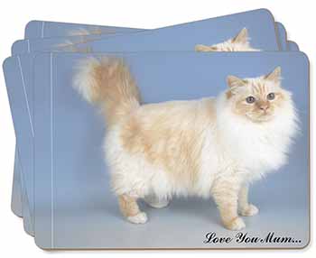 Red Birman Cat 