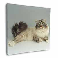 Tabby Birman Cat Square Canvas 12"x12" Wall Art Picture Print