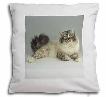 Tabby Birman Cat Soft White Velvet Feel Scatter Cushion