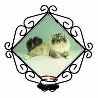 Tabby Birman Cat Wrought Iron Wall Art Candle Holder