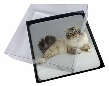 4x Tabby Birman Cat Picture Table Coasters Set in Gift Box