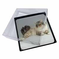 4x Tabby Birman Cat Picture Table Coasters Set in Gift Box