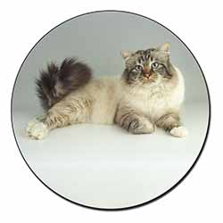 Tabby Birman Cat Fridge Magnet Printed Full Colour