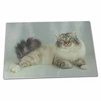 Large Glass Cutting Chopping Board Tabby Birman Cat