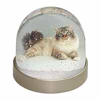 Tabby Birman Cat Snow Globe Photo Waterball