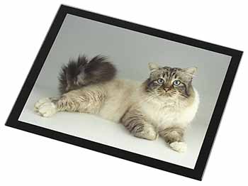 Tabby Birman Cat Black Rim High Quality Glass Placemat