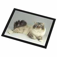 Tabby Birman Cat Black Rim High Quality Glass Placemat